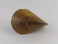 Goldregenholz Oloid Handschmeichler 63mm x 42mm GO38